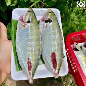 Cá bạc má làm sạch